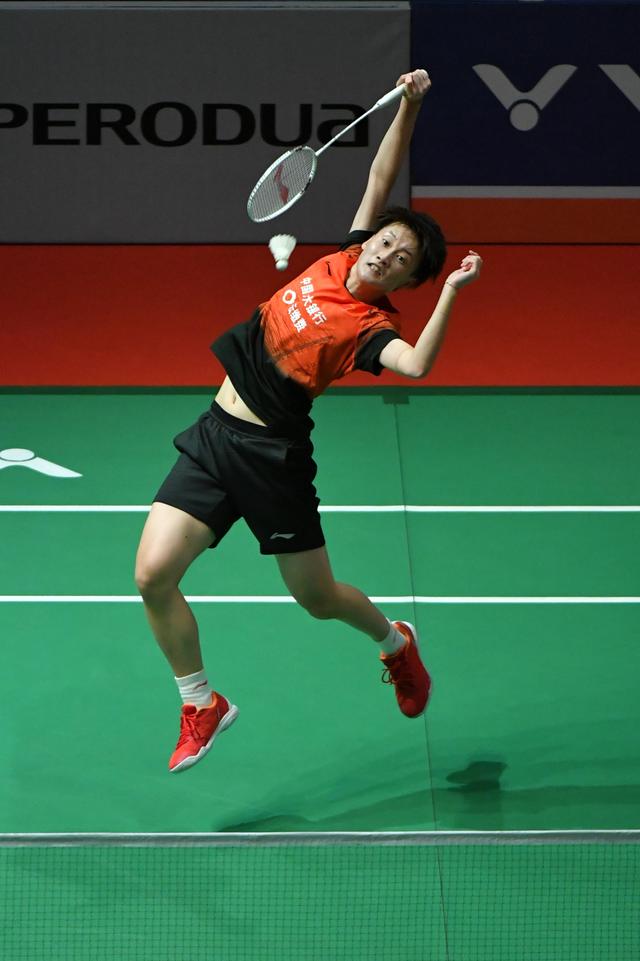 近几赛季努 近几赛季努