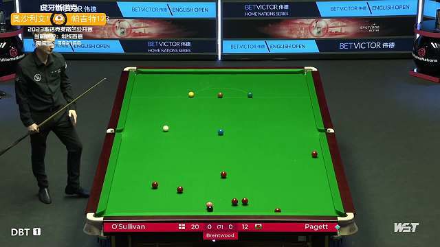 张怡宁退役 张怡宁退役